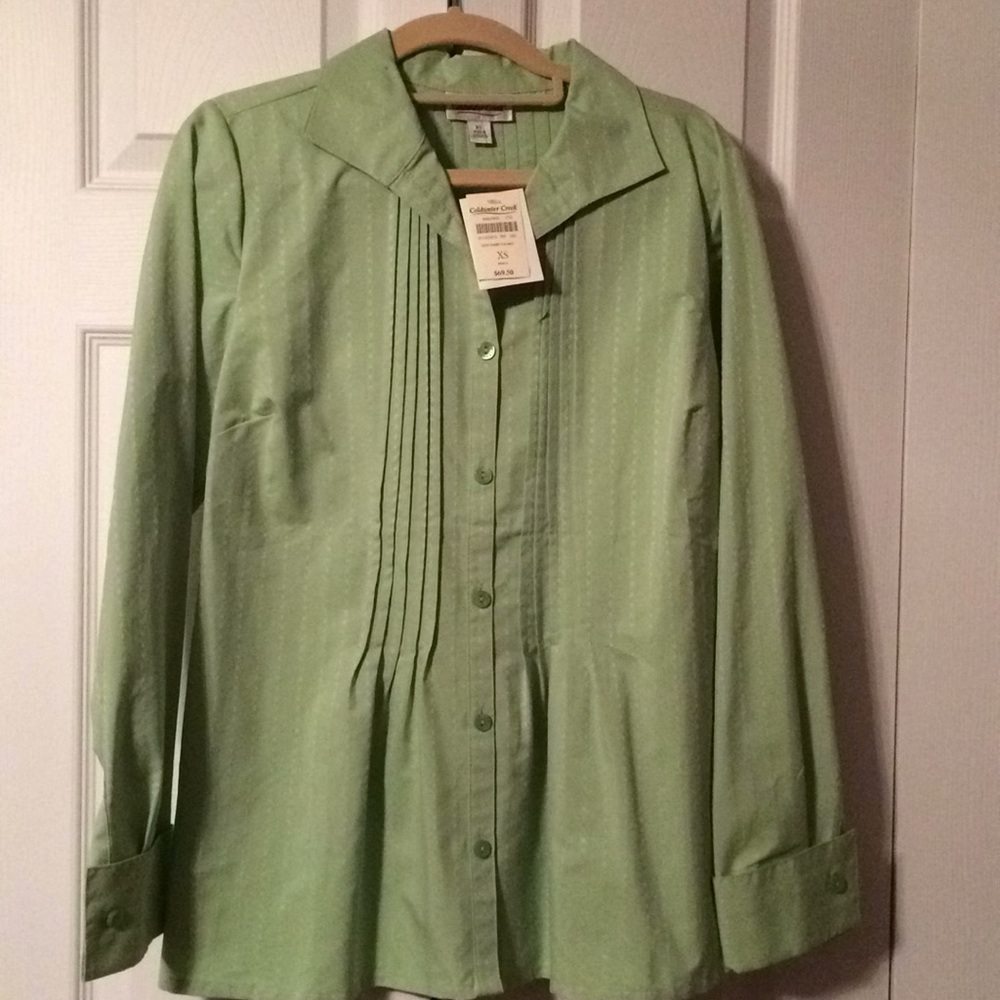 Sage green blouse